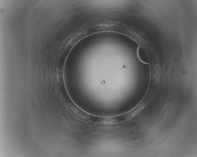 X0000075840758200609221705