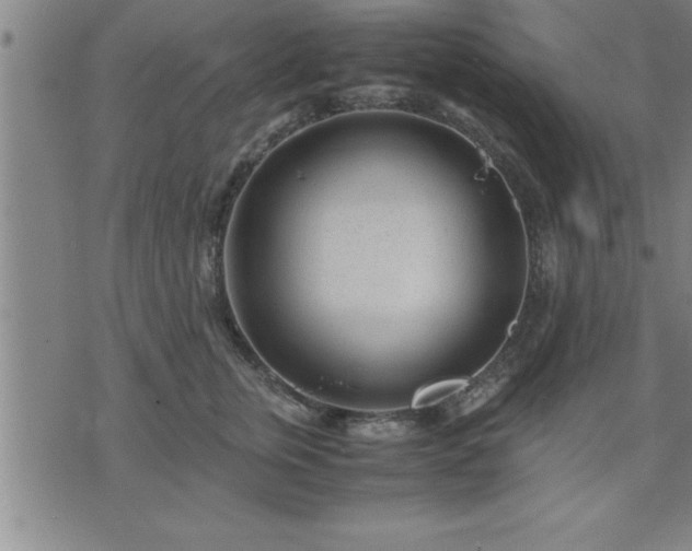 X0000075840759200609221705