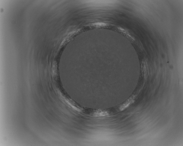 X0000075840760200609221705