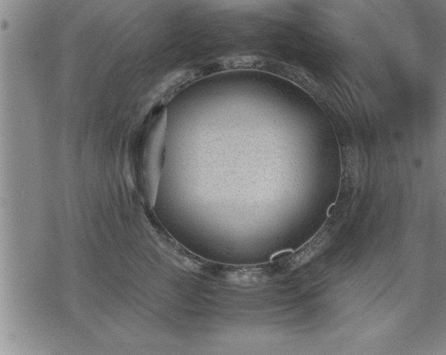 X0000075840761200609221705