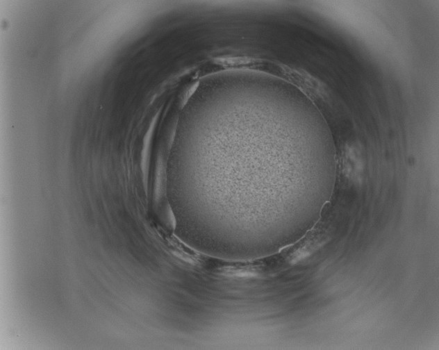 X0000075840763200609221705