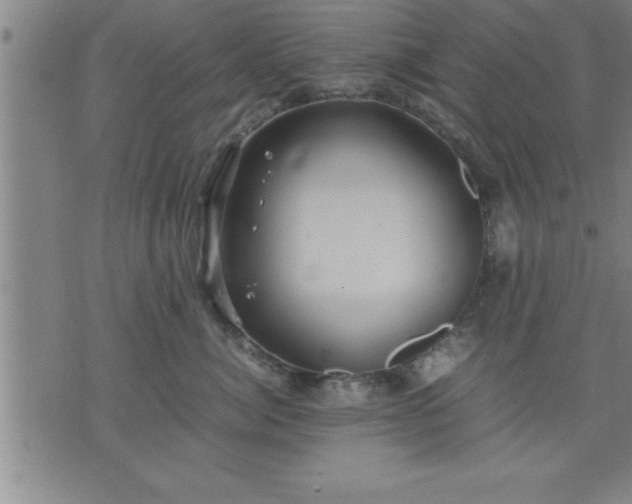 X0000075840764200609221705