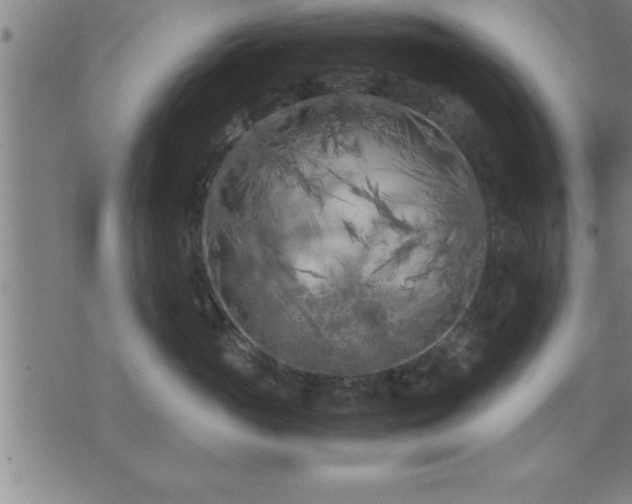 X0000075840765200609221705