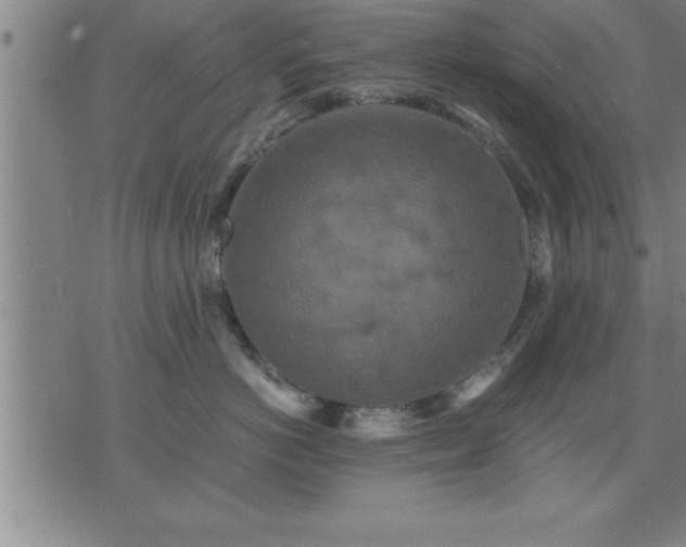 X0000075840766200609221705