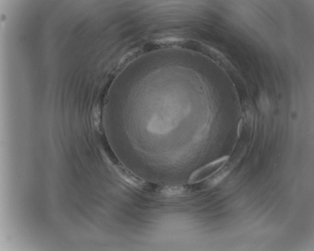 X0000075840767200609221705