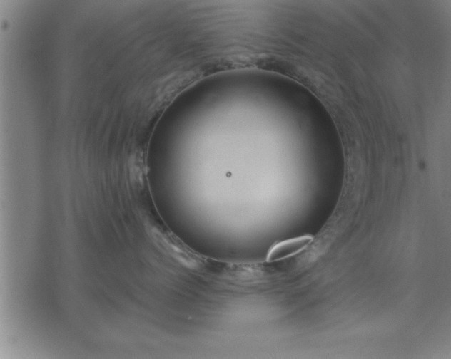 X0000075840768200609221705