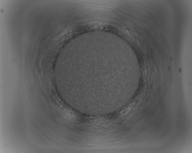 X0000075840769200609221704