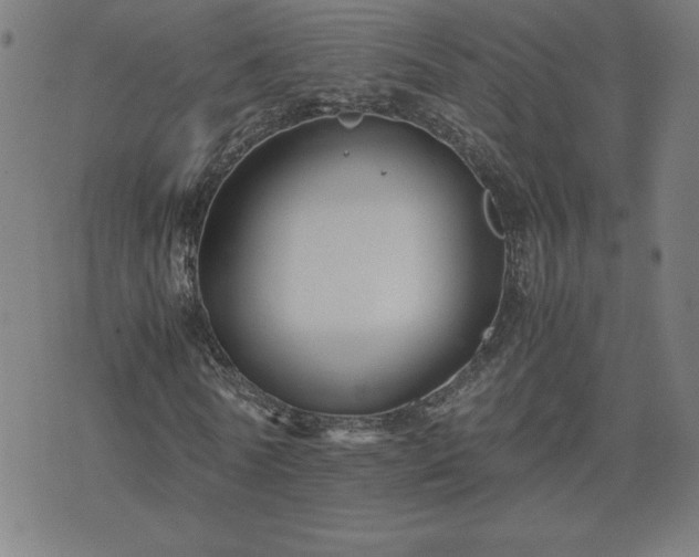 X0000075840770200609221704