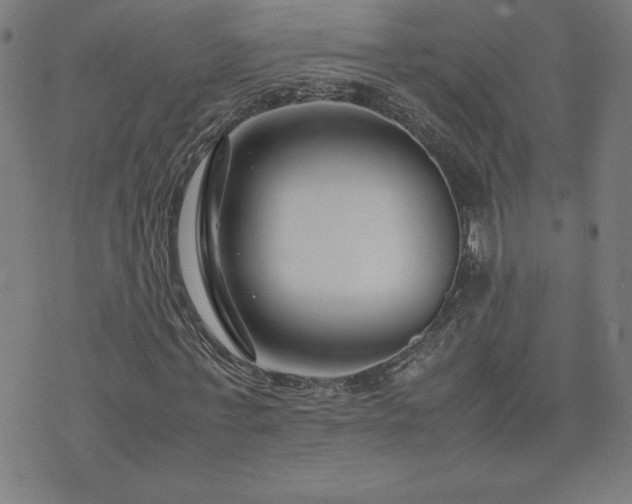 X0000075840771200609221704