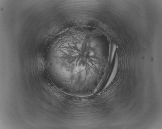 X0000075840772200609221704