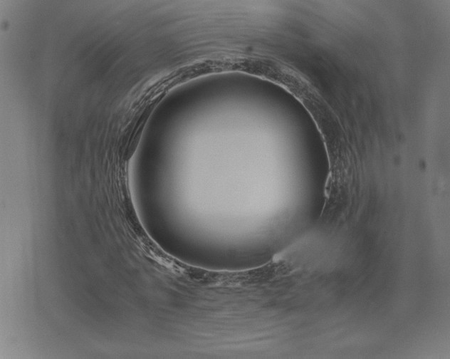 X0000075840773200609221704