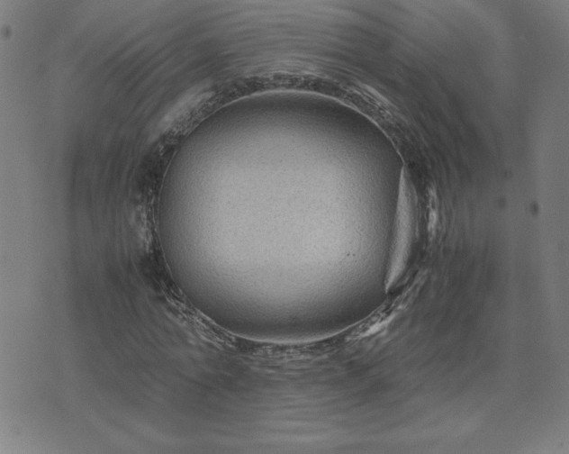 X0000075840774200609221704