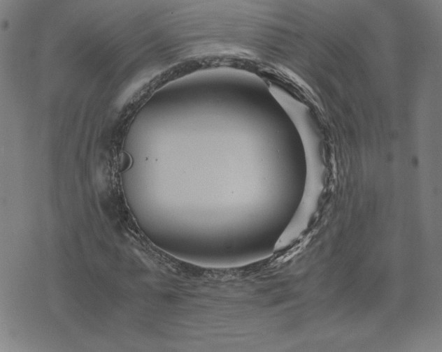 X0000075840775200609221704