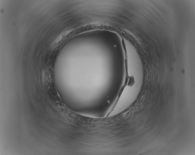 X0000075840776200609221704