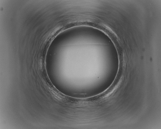 X0000075840777200609221704