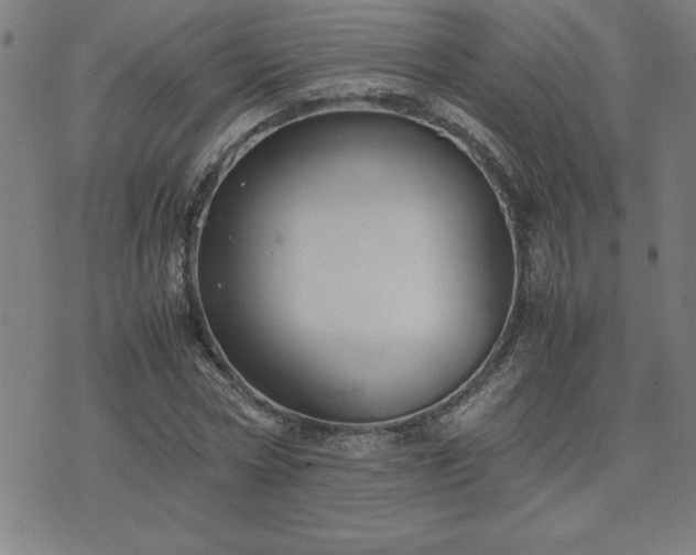 X0000075840778200609221704