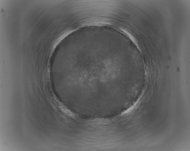 X0000075840779200609221704