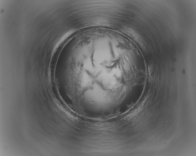 X0000075840780200609221704