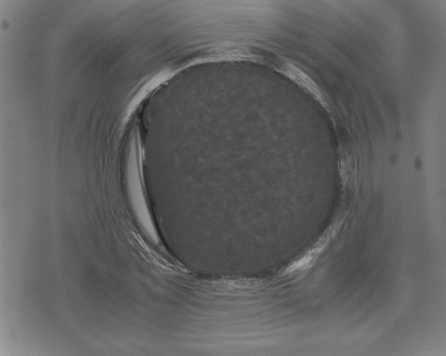 X0000075840781200609221704