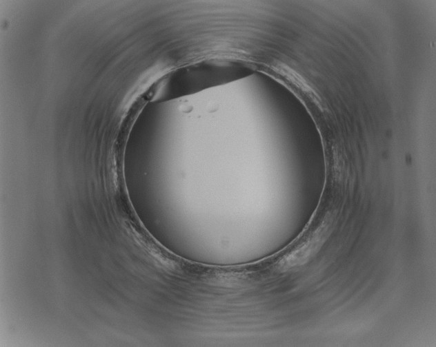 X0000075840782200609221704