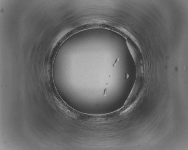 X0000075840783200609221704