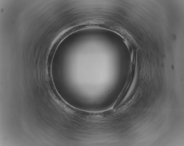 X0000075840784200609221704