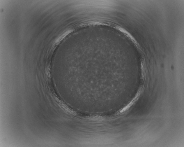 X0000075840785200609221704