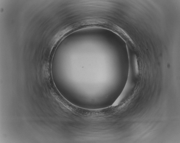 X0000075840786200609221704