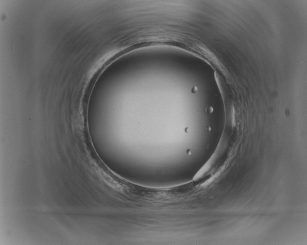 X0000075840787200609221704