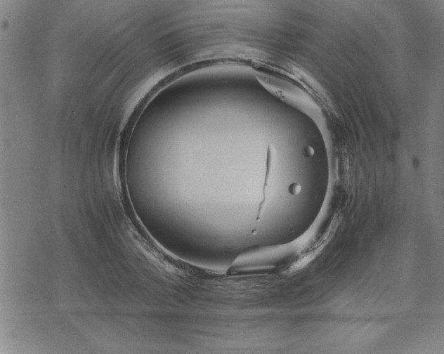 X0000075840788200609221704