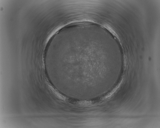 X0000075840789200609221704