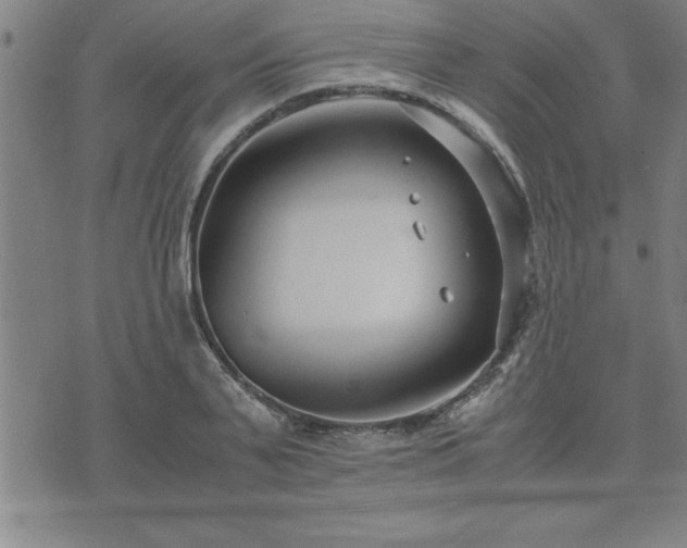 X0000075840791200609221704