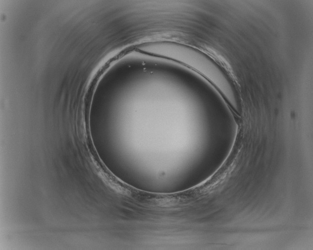 X0000075840792200609221704