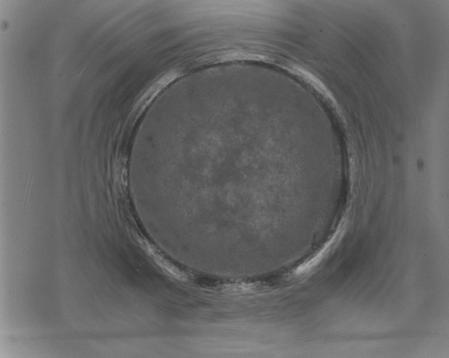 X0000075840793200609221704