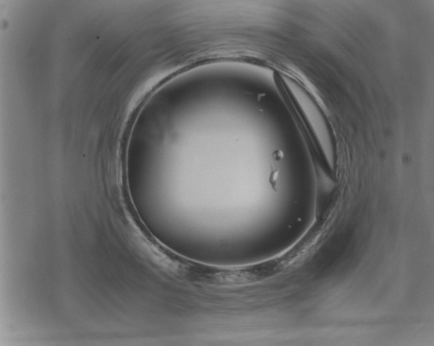 X0000075840795200609221704