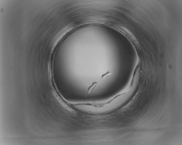 X0000075840796200609221704