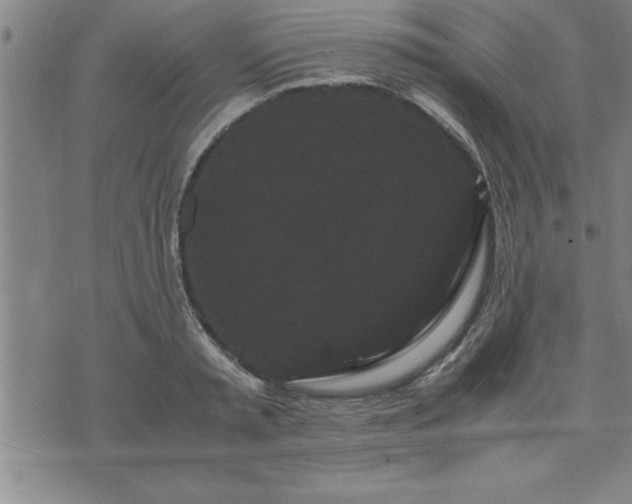 X0000075840797200609221704