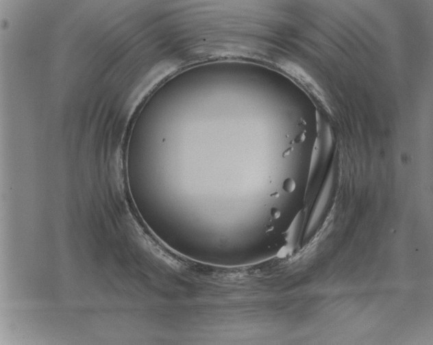 X0000075840798200609221704