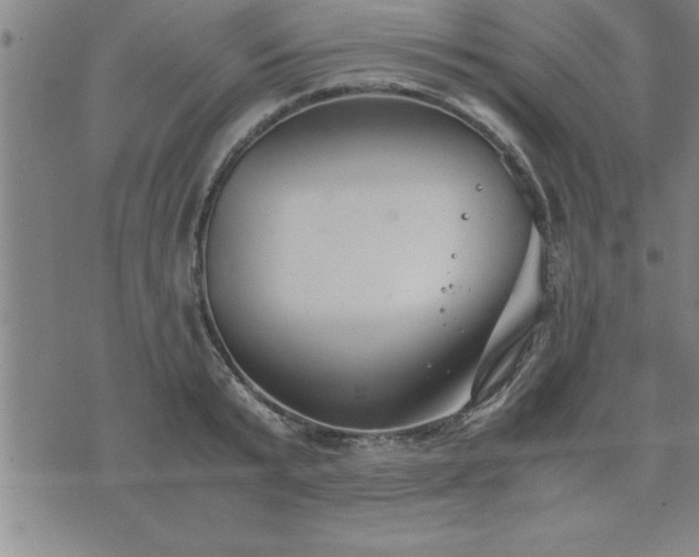 X0000075840799200609221704