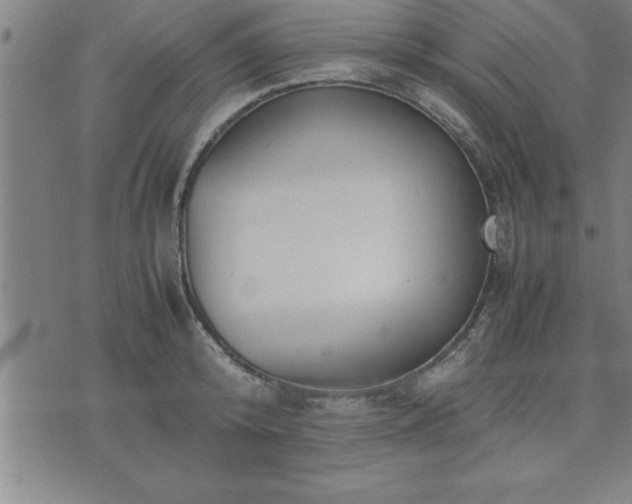 X0000075840800200609221704