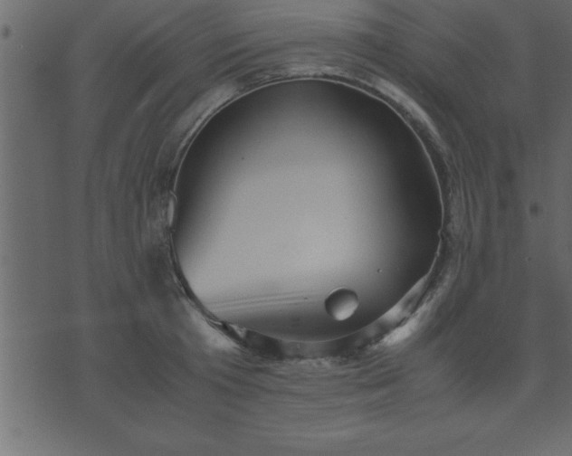 X0000075840801200609221704