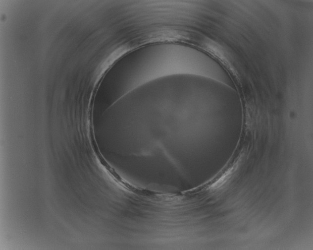 X0000075840802200609221703