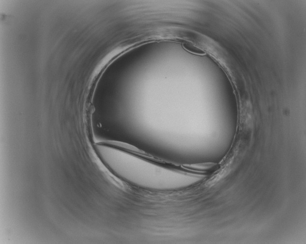 X0000075840803200609221703