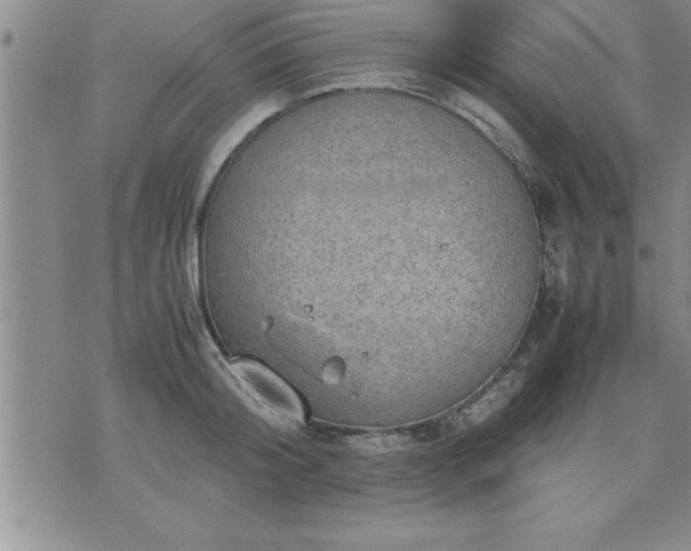 X0000075840804200609221703