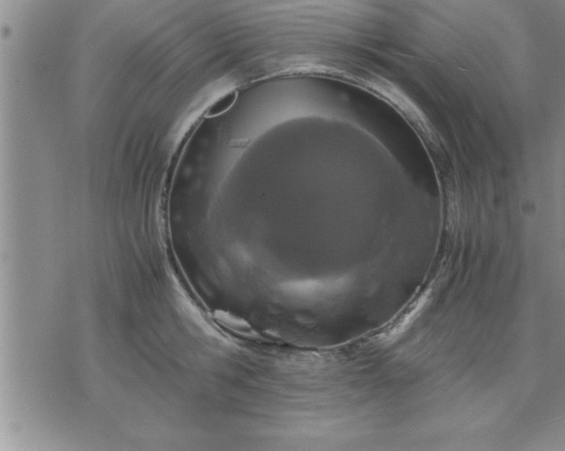 X0000075840806200609221703