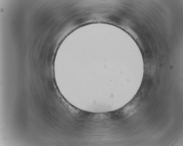 X0000075840807200609221703