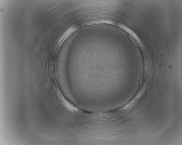 X0000075840809200609221703