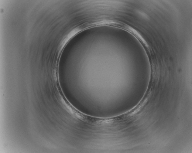 X0000075840810200609221703