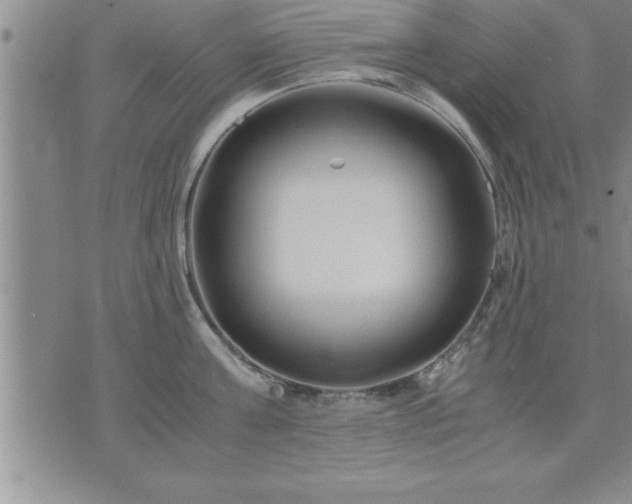 X0000075840811200609221703