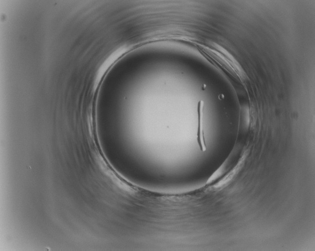 X0000075840812200609221703